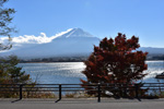 河口湖畔秋富士