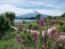 富士山大石公園湖岸