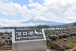 富士山河口湖畔